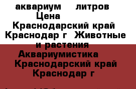 аквариум 70 литров › Цена ­ 3 900 - Краснодарский край, Краснодар г. Животные и растения » Аквариумистика   . Краснодарский край,Краснодар г.